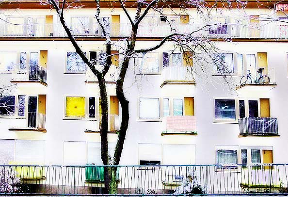 `hausbaum� by M.Lowack
